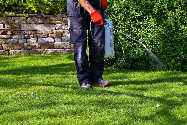 Best Commercial Pest Control  in Gatesville, TX